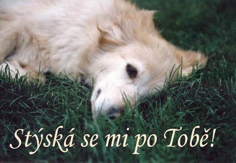 Stýská se mi