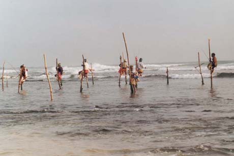 Rybáři (Sri Lanka)